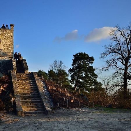 Le Denecourt - A Deux Pas De La Gare Et De La Foret De Fontainebleau Avon Eksteriør billede
